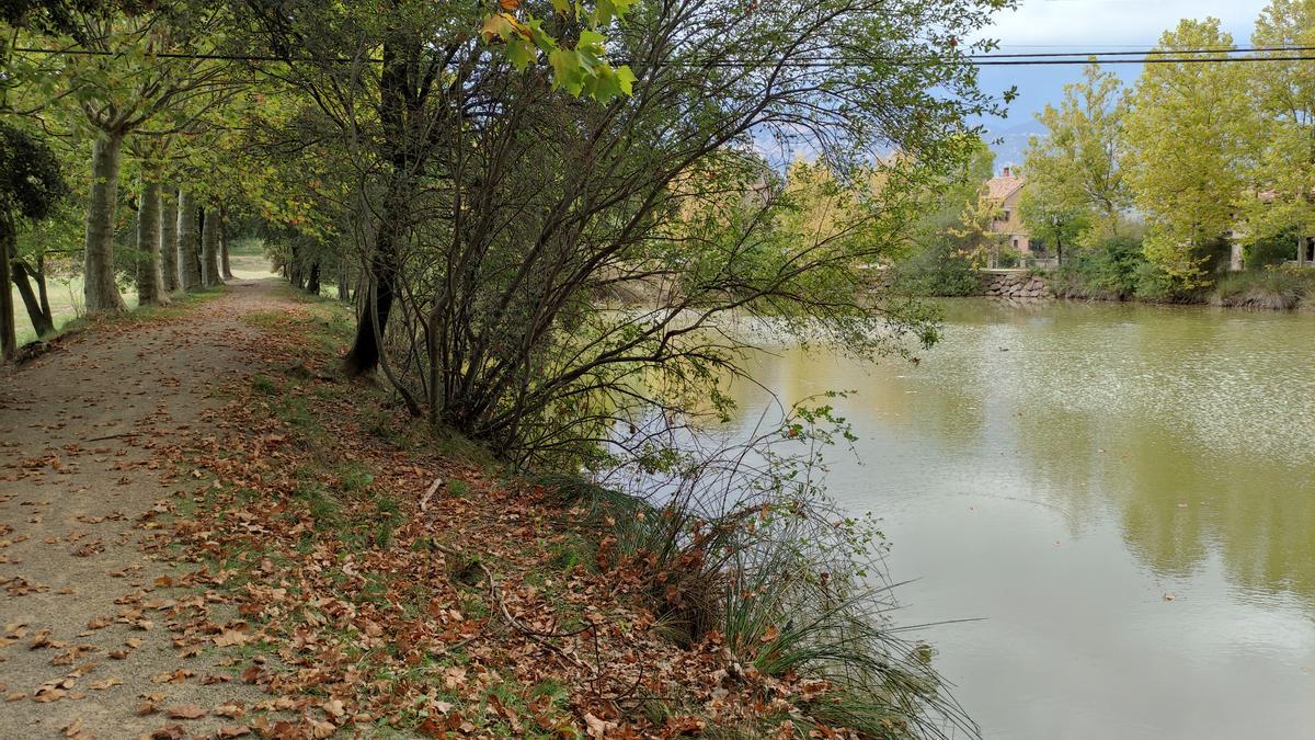 Llac de Greuges, comença la caiguda de fulles