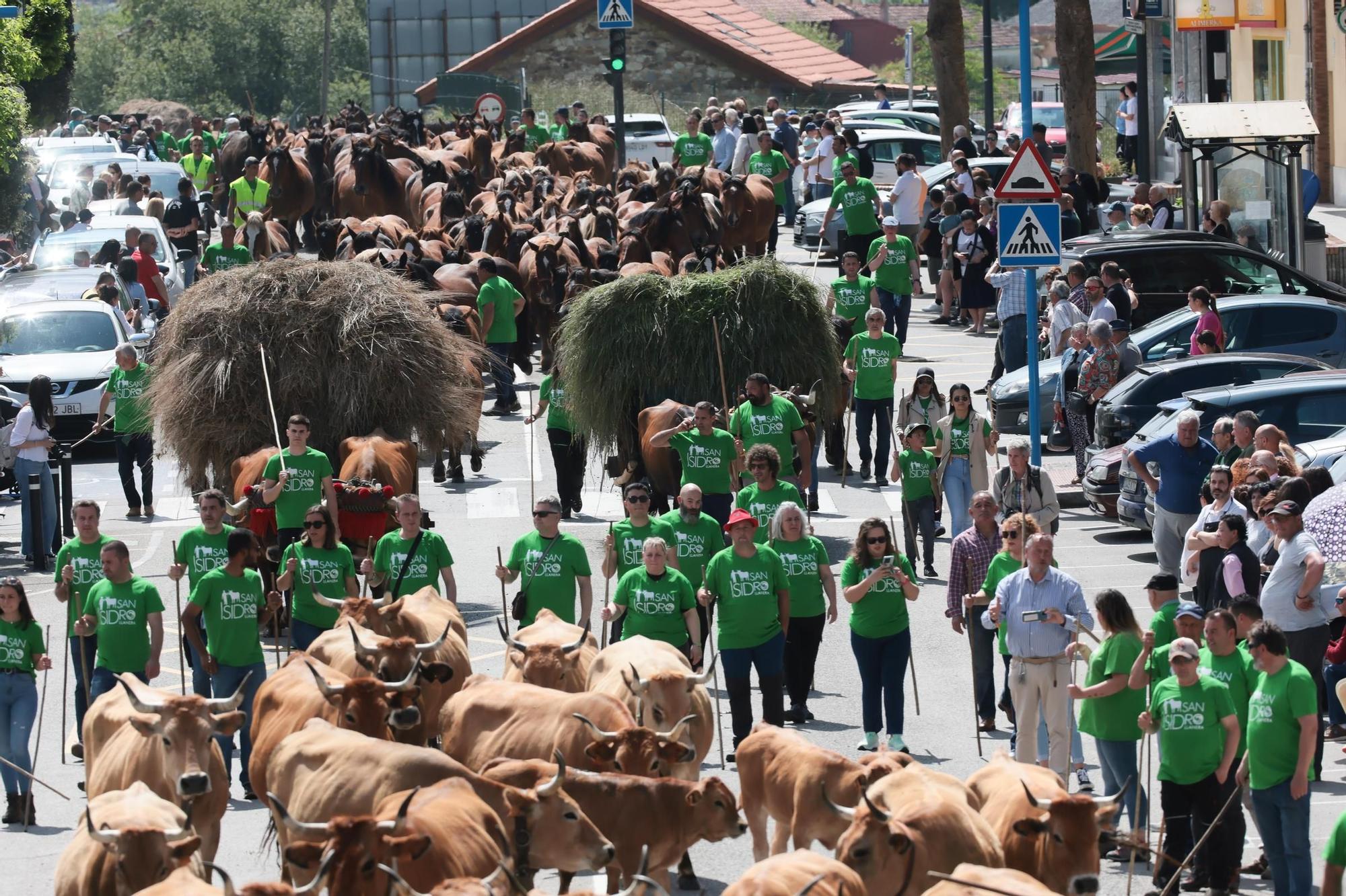 Marea verde en Llanera: el campo tomó la calle con el espectacular desfile de carros y animales