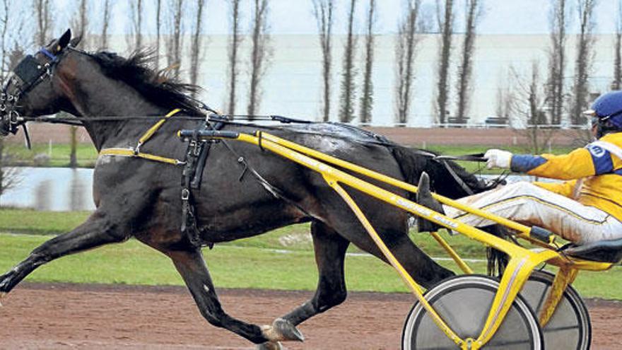 Vincennes HM en la carrera que disputó en Agen.