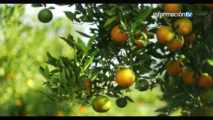 ASAJA hace balance positivo del año y destaca algunos retos para 2026