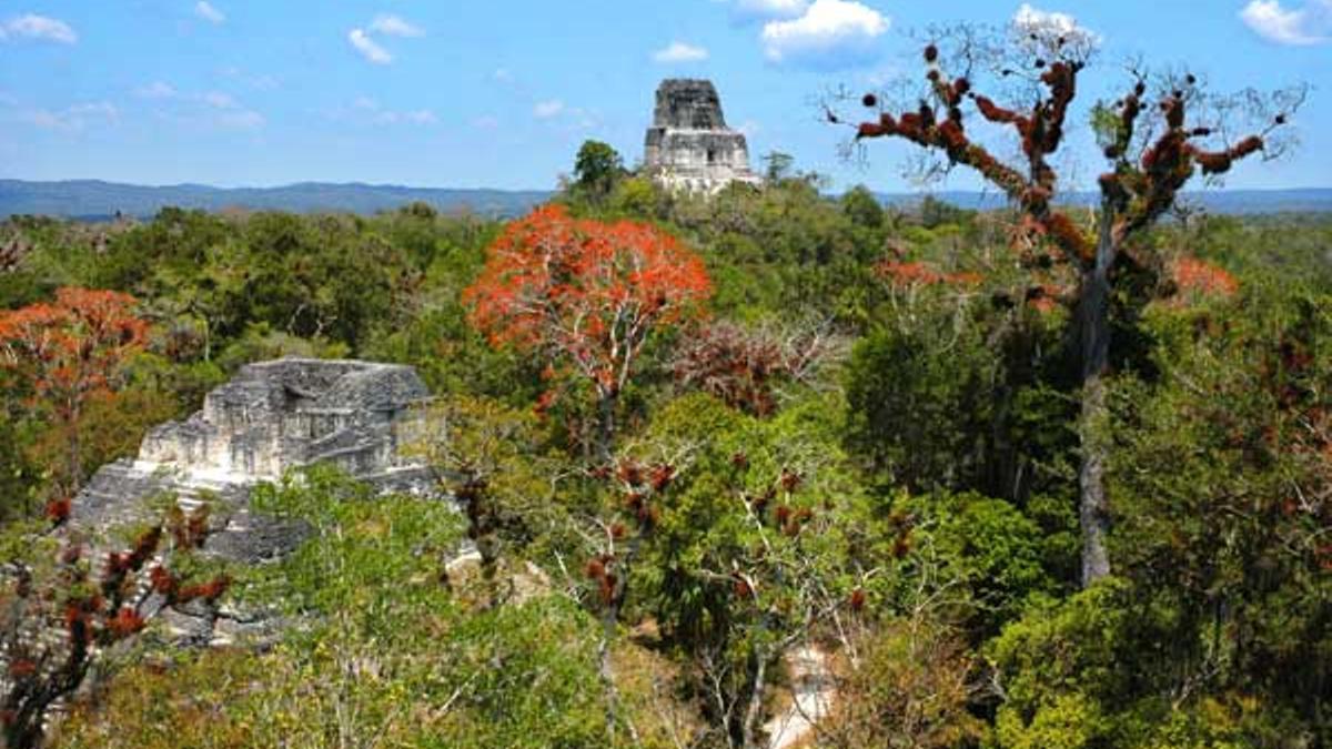 Pirámide de Tikal.