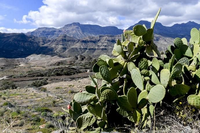 GRAN CANARIA 26-01-2019  SANTA LUCIA DE TIRAJANA-SAN BARTOLOME DE TIRAJANA. Fotos al macizo de Amurga. Fotos a los terrenos de la familia de Román comprados por el Cabildo.  FOTOS: JUAN CASTRO