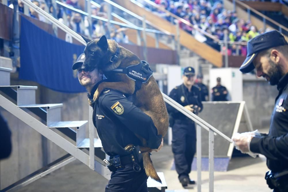 Exhibición de unidades especiales de la PN