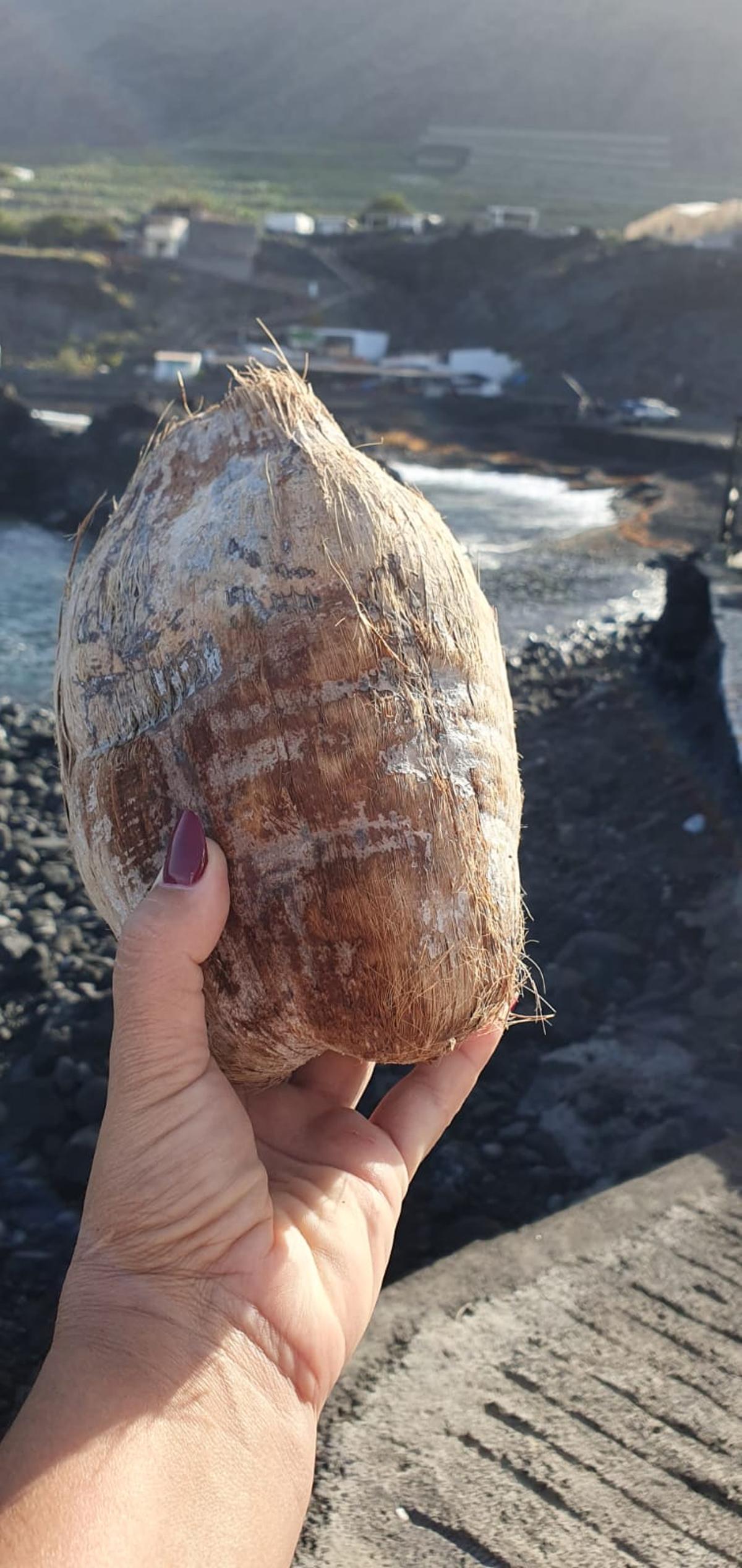 Una vecina de La Palma recoge un coco enredado entre las manchas de sargazos.