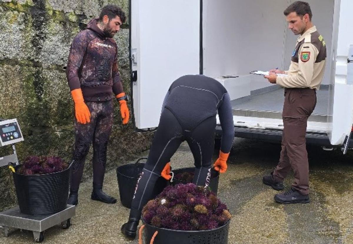 El pesaje de las capturas diarias. |  M. Méndez