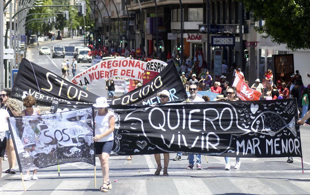 Las mareas se echan a la calle en el Día de la Región de Murcia