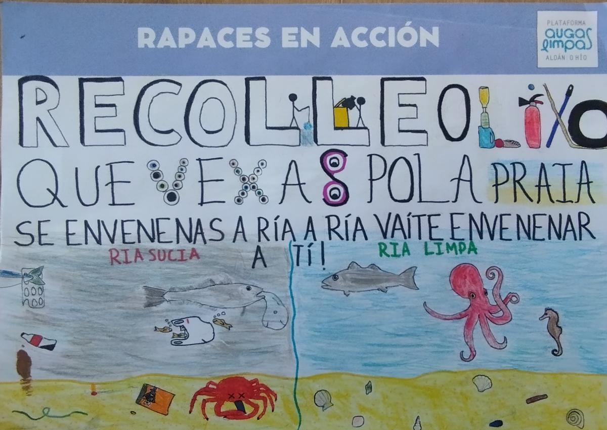 "Rapaces en acción", con los colegios de Aldán y O Hío para salvar la ría "Rapaces en acción", con los colegios de Aldán y O Hío para salvar la ría