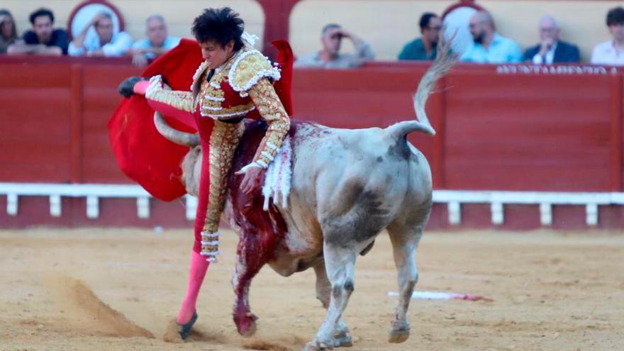 El toro alcanzó al torero limeño cuando trataba de pasarlo por la espalda. Foto: Circuitos Taurinos