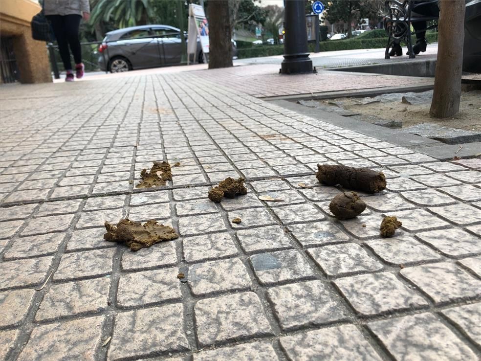 El lamentable estado de la zona de Colón en Cáceres