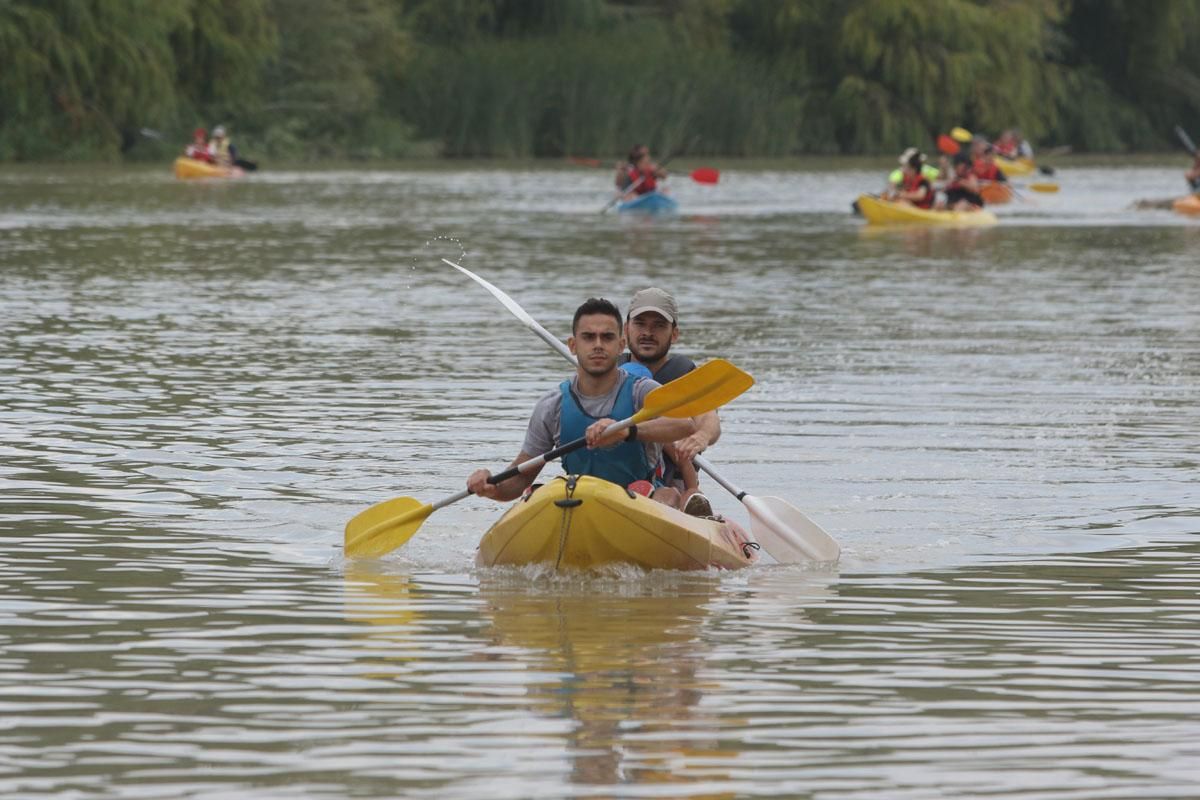 Ruta del Caimán por el río Guadalquivir