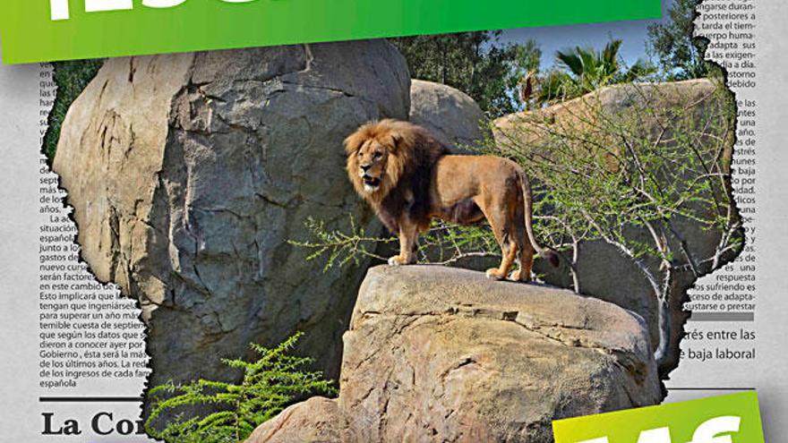 Vuelve ¡Escápate! a Bioparc Valencia