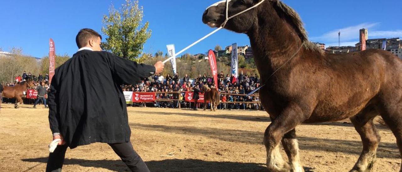 Un criador de cavalls a la Fira de Puigcerdà. | MIQUEL SPA