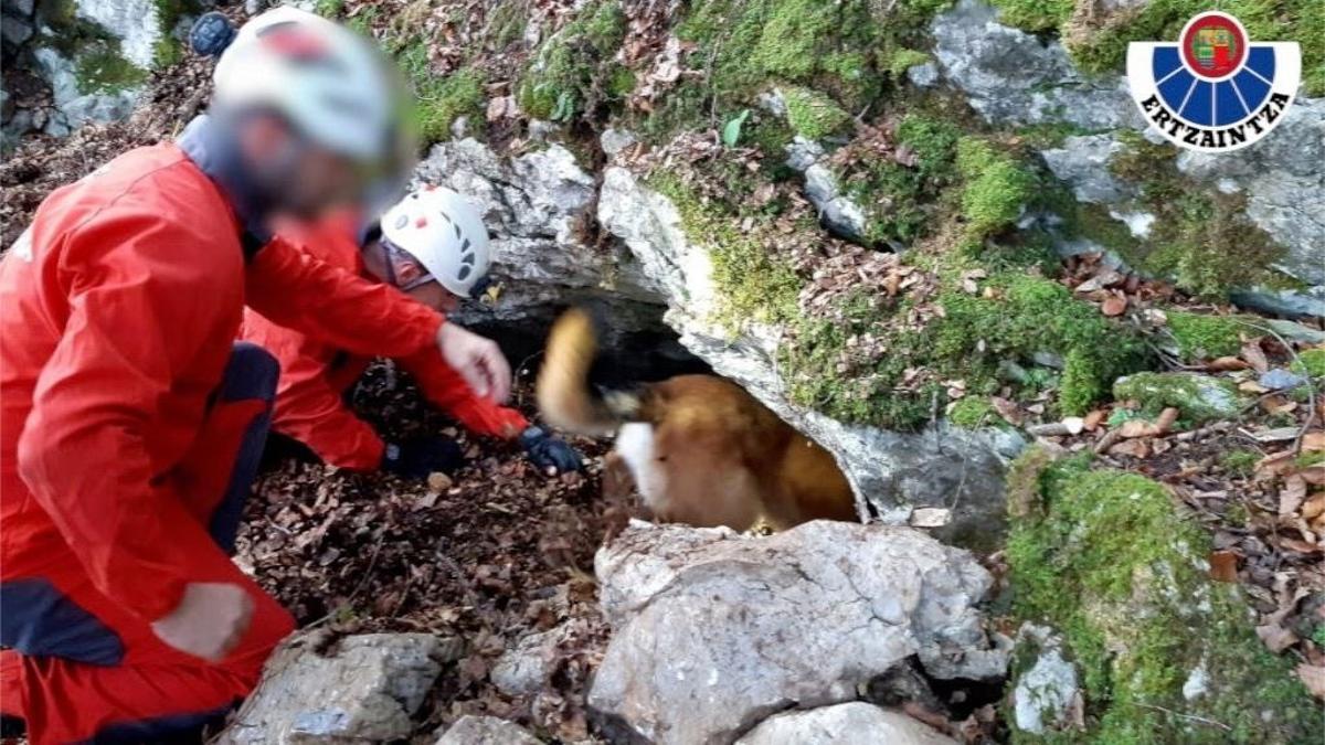 La Ertzaintza localiza en Gipuzkoa un zulo que podría haber pertenecido a ETA