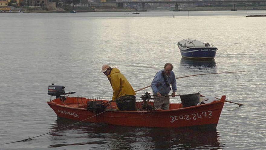 Mariscadores de a flote trabajan en la extracción de mejillón del fondo de la ría de A Pasaxe.