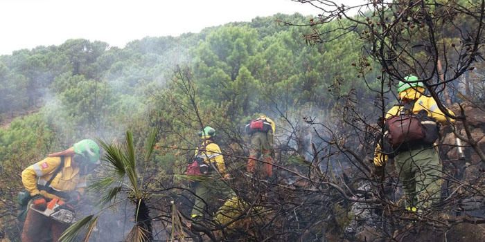 Incendio forestal en Benahavís