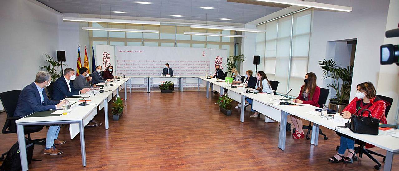 Fotografía de archivo del Botànic, en un pleno del Consell celebrado en la ciudad de Alicante.