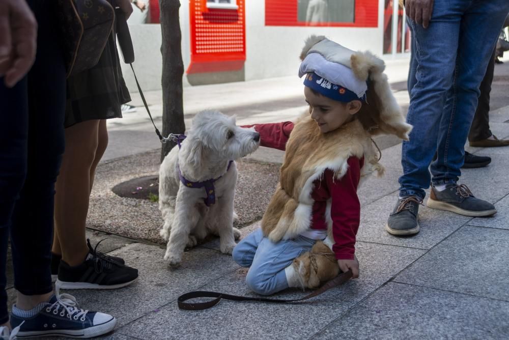 El Entroido vuelve a las calles de Ourense. // Carlos Peteiro