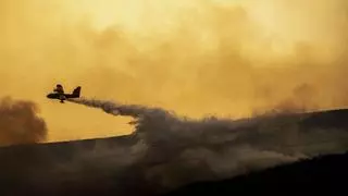 El suelo Red Natura resiste al fuego y mantiene su potencial de biodiversidad