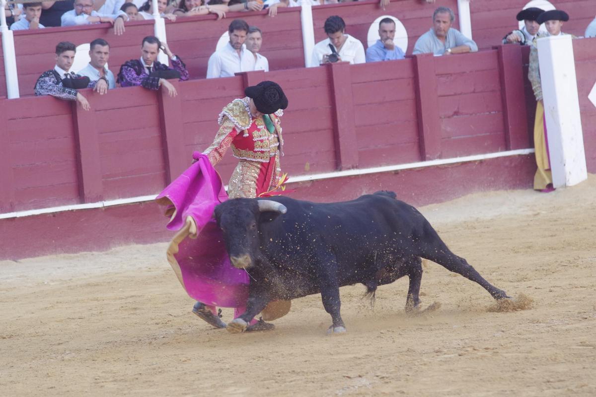 Final del Certamen de Escuelas Taurinas 2025
