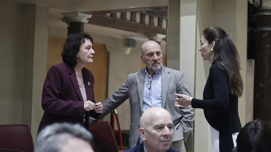 El reglamento del Grupo Mixto elaborado por la Mesa de la Asamblea otorga la Portavocía a Álvarez-Castellanos, de IU