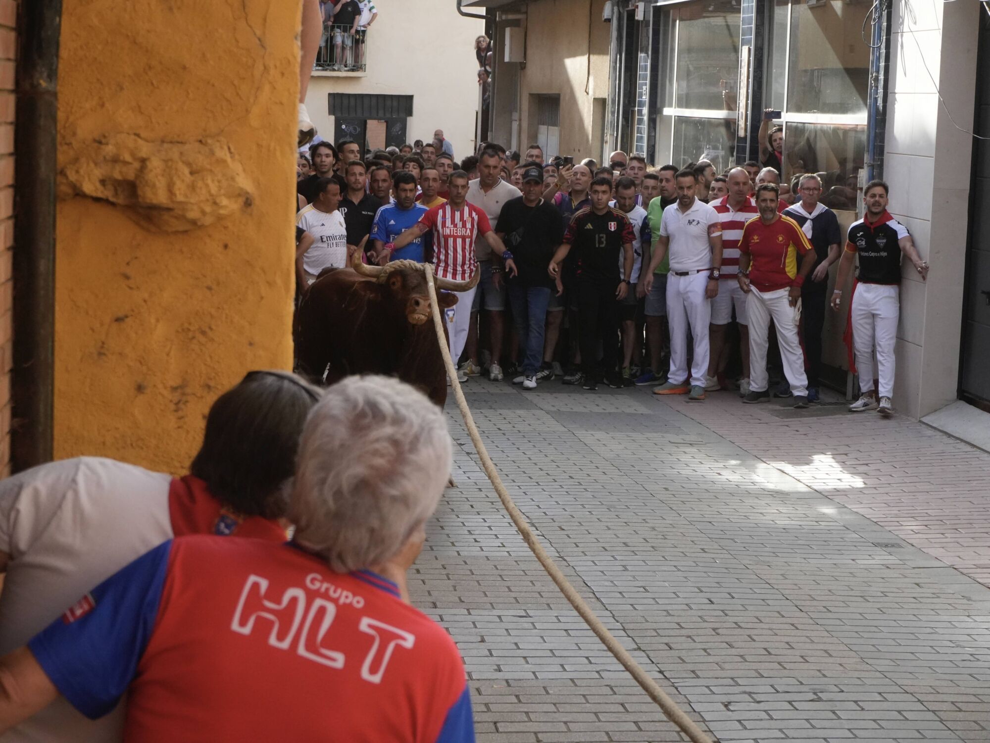 Las imágenes más impactantes del torito del alba de Benavente
