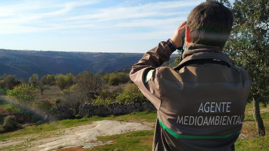 Un agente medioambiental realiza labores de vigilancia en un paraje natural de la provincia de Zamora. | CEDIDA
