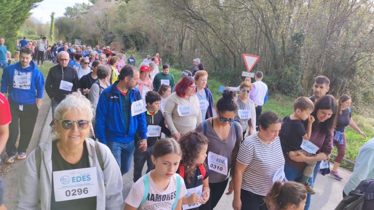 Participantes en la marcha eco-solidaria de la Fundación Edes. | T. Cascudo
