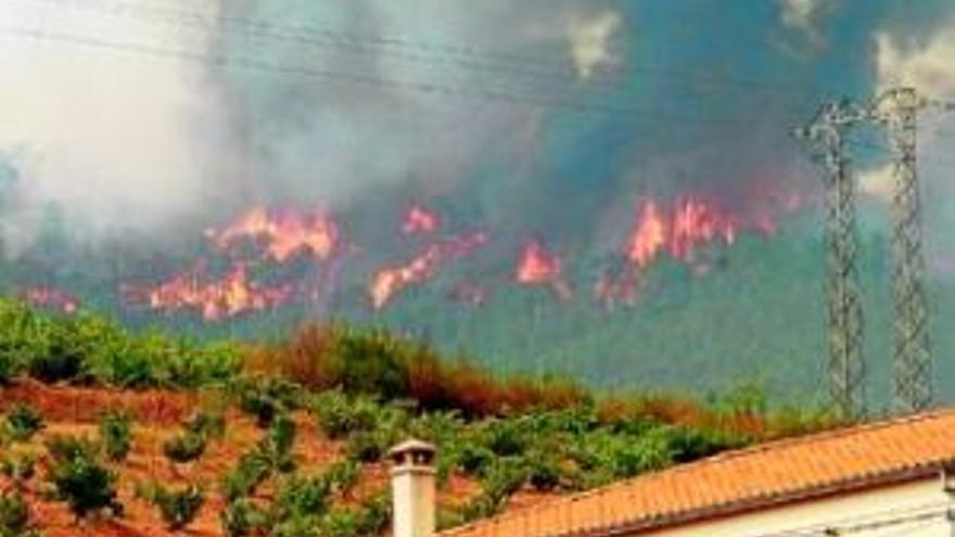 Los incendios forestales bajan un 41% respecto a otros años