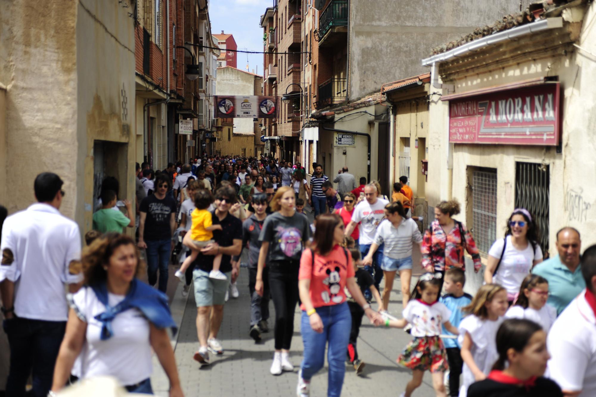 Los niños de Benavente dan el do de pecho en las Escuelas Taurinas