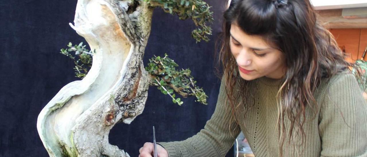 Cristina Magide, trabajando en un bonsái de olivo.