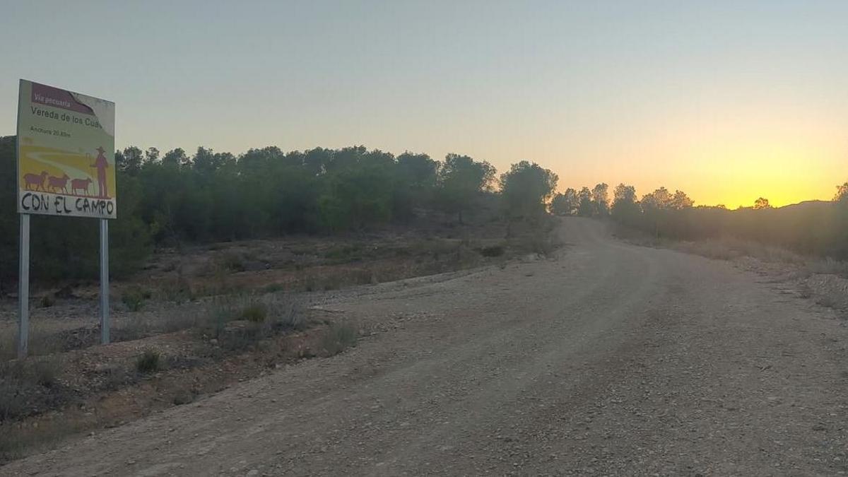 La Vereda de los Cuadros se encuentra en la Región de Murcia, situada entre Murcia, Santomera, Molina de Segura y Fortuna.