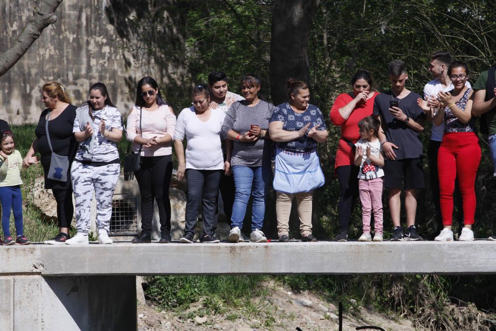 Celebració del Dia Internacional del Poble Gitano a Girona