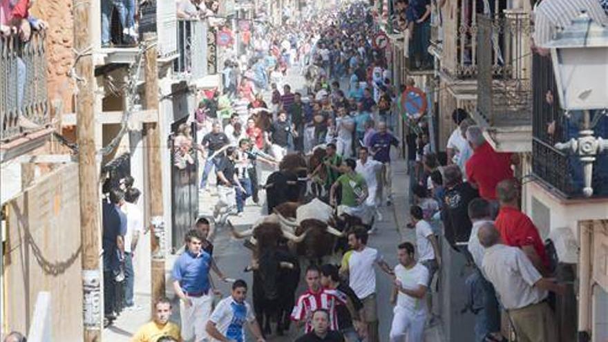 Almassora recuperará el encierro taurino para las fiestas del Roser