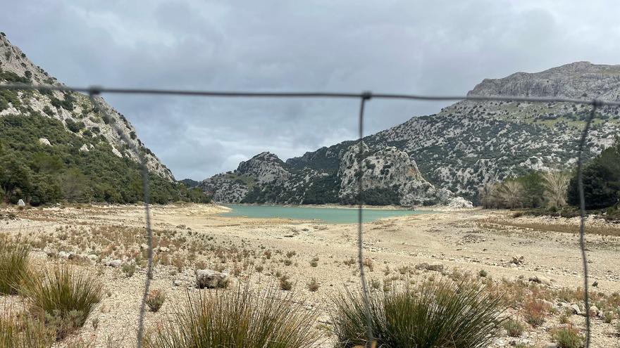 Estas son las reservas hídricas y el nivel de los embalses con los que Mallorca afronta el verano