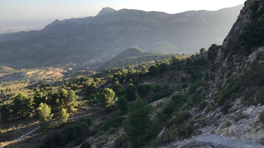 Rescatan a un joven tras caer con su furgoneta por un barranco de 60 metros en Petrer