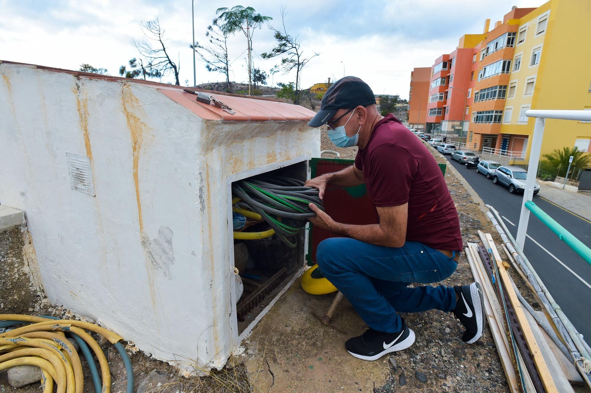 Unos vecinos plantan en un terreno yermo de El Batán