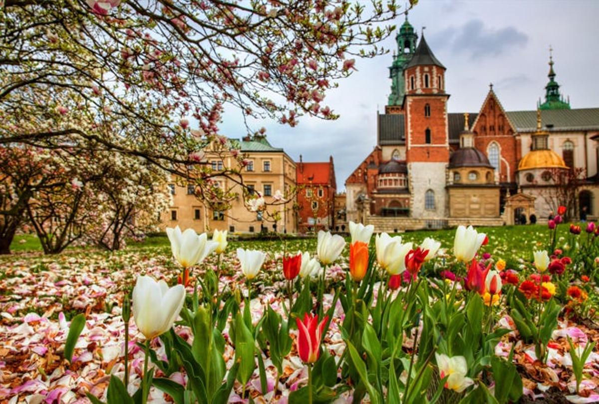 Jardines del Castillo de Wawel. Jardines del Castillo de Wawel.