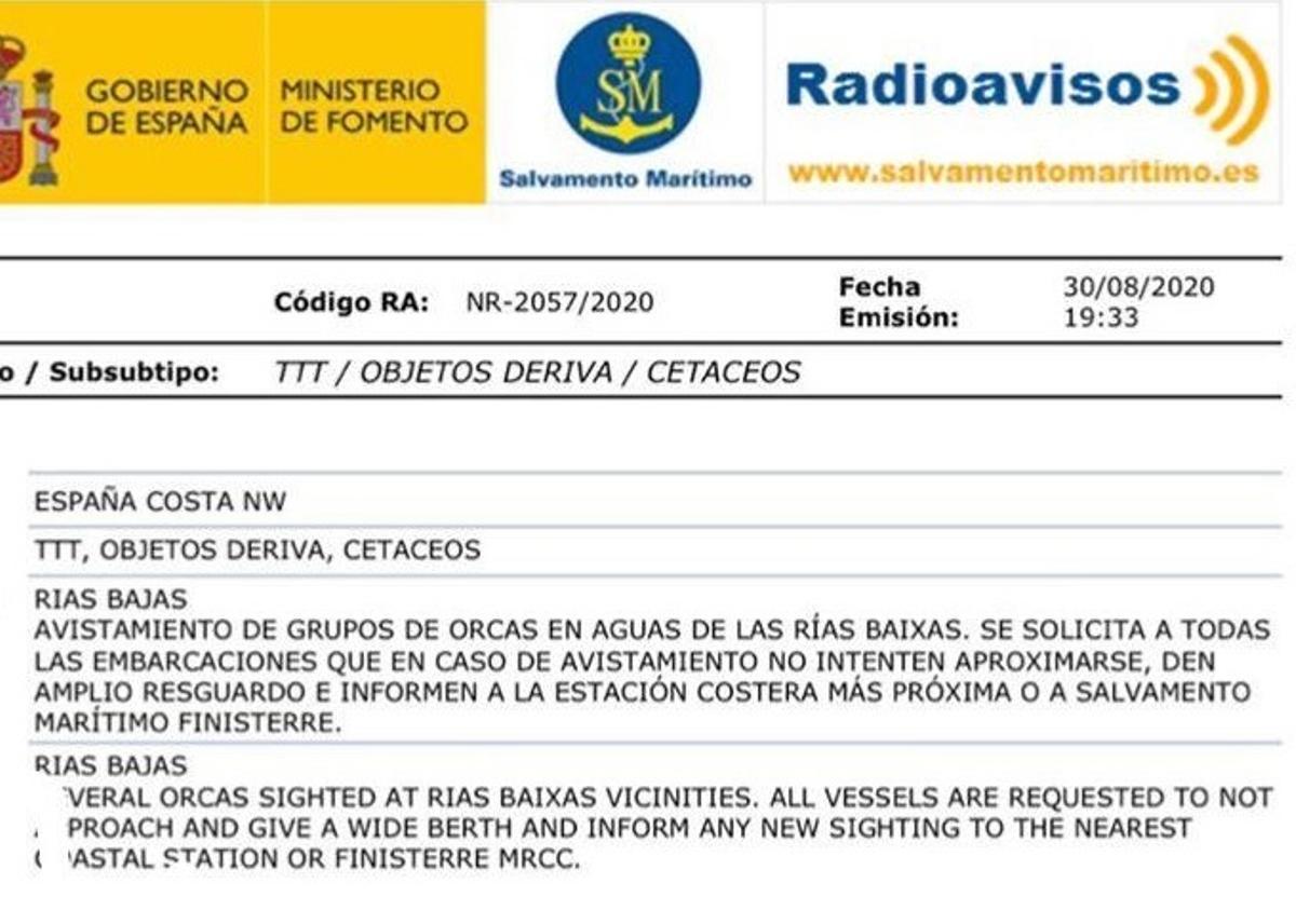 Alertan del avistamiento de orcas en aguas de las Rías Baixas