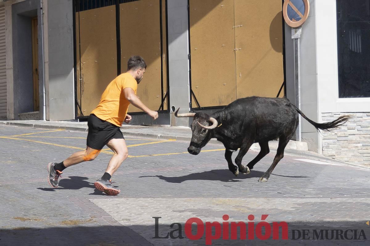 Cuarto encierro en las Fiestas de Moratalla