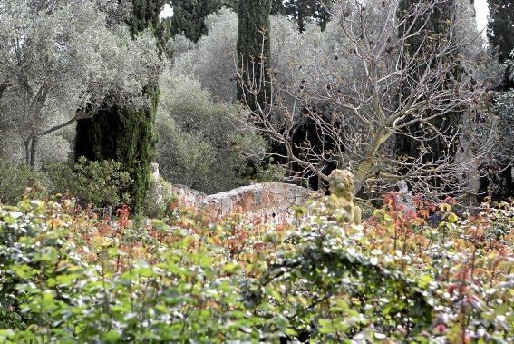 Der Garten von Gritli und Hans Liesenhoff zählt zu den beeindruckendsten Mallorcas. Er vereint Pfl anzenvielfalt und ornamentale Gestaltung mit Philosophie und Poesie.