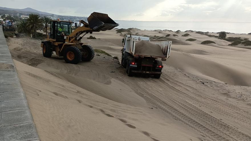 San Bartolomé de Tirajana traslada 78 toneladas de arena de las dunas de Maspalomas desde el paseo a Playa del Inglés