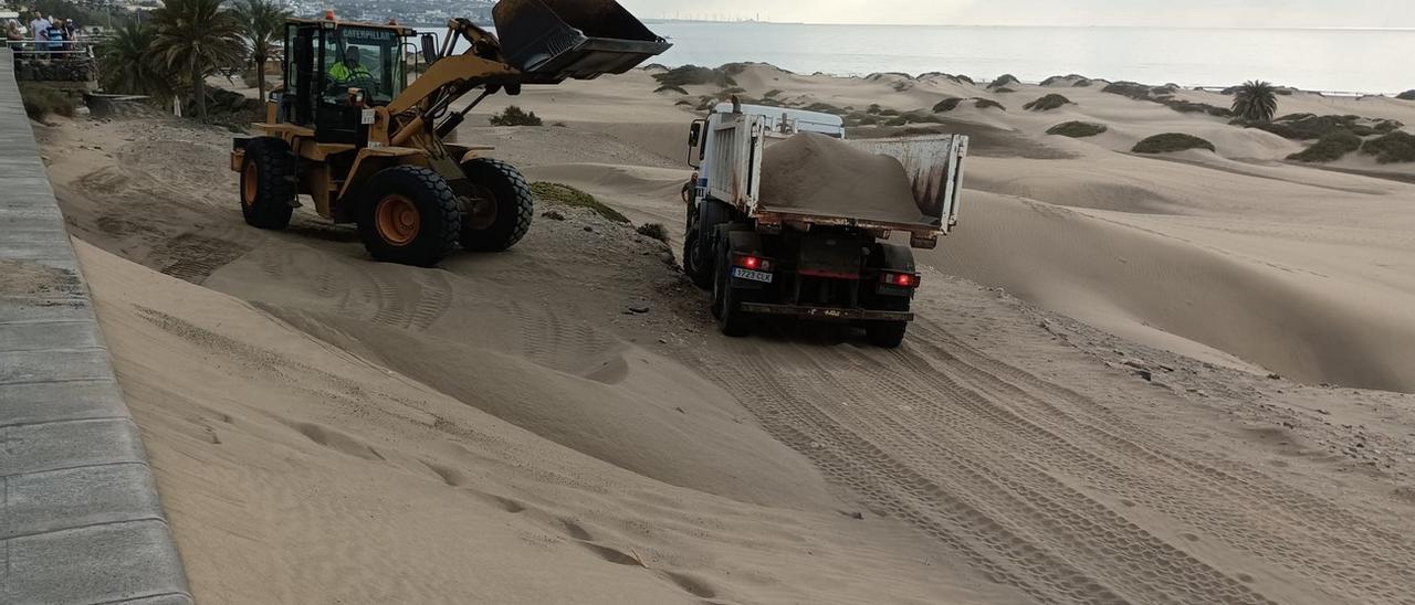 Comienza el traspaso de la arena desde el paseo marítimo hasta la orilla de Playa del Inglés