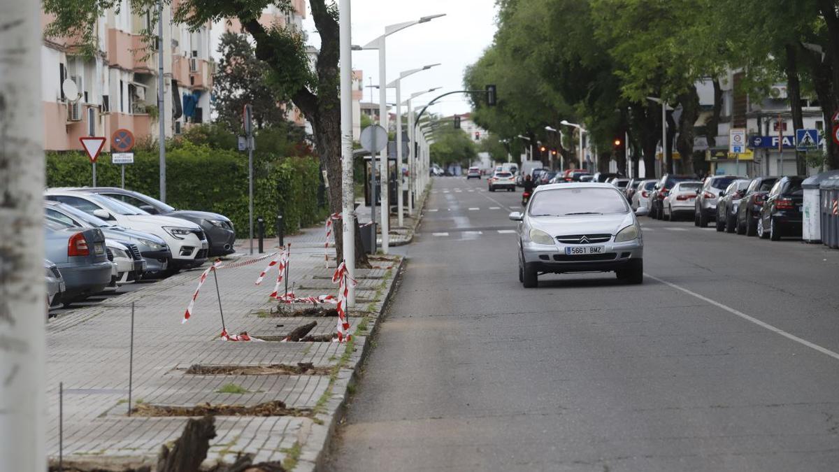 Un vehículo circula por la avenida Virgen Milagrosa, ya en obras.