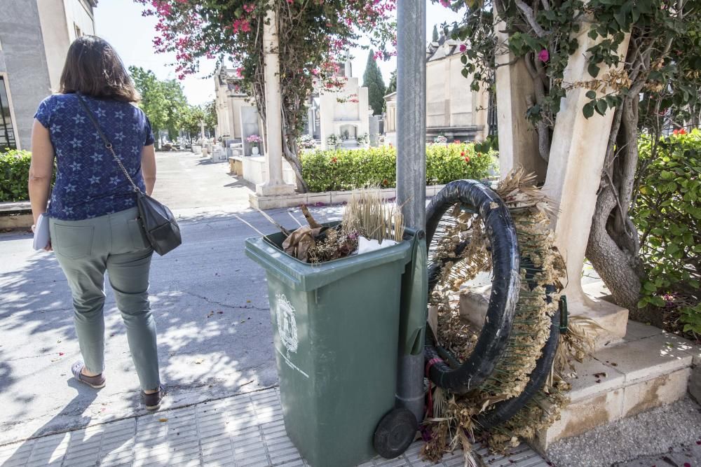 Visitantes critican la imagen actual del camposanto de la capital, que acumula falta de mantenimiento y de limpieza.