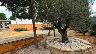 Súria reforçarà el control del trànsit al Cementiri per Tots Sants