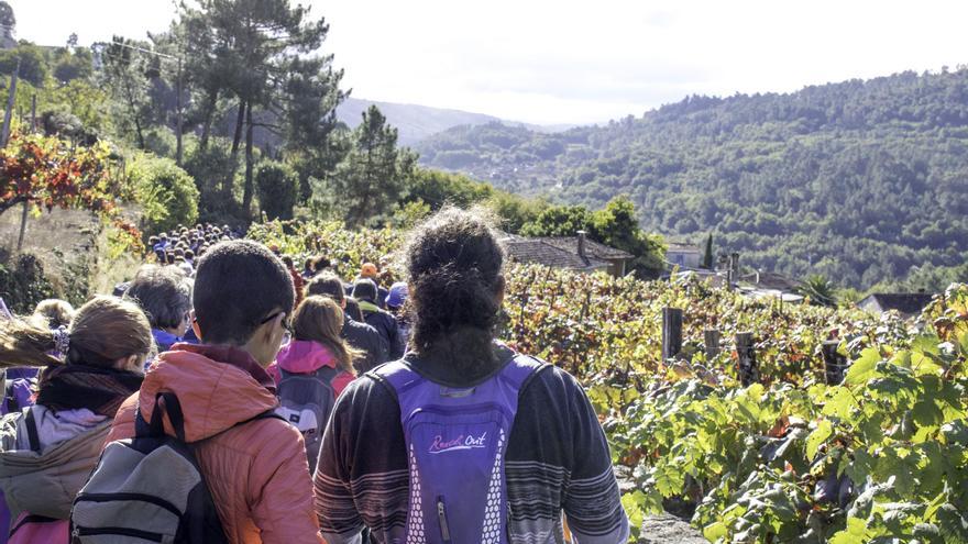 De ruta gratis por O Ribeiro: Camiño a Camiño abre la inscripción para el Puente del Pilar