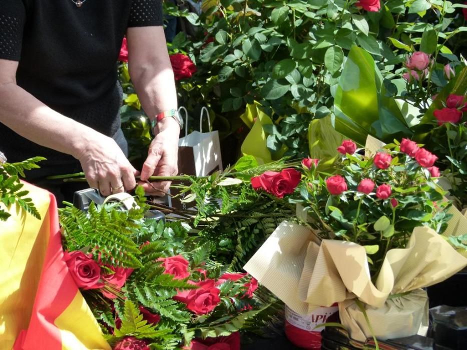 Sant Jordi a Igualada