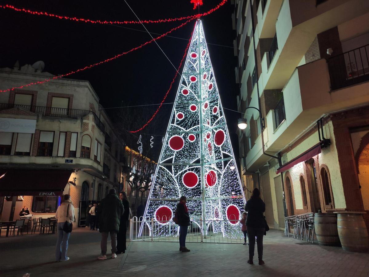 Uno de los abetos del pasado año.