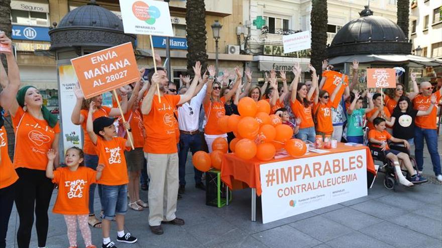 El 60% de los trasplantes de médula se realizan gracias a donantes