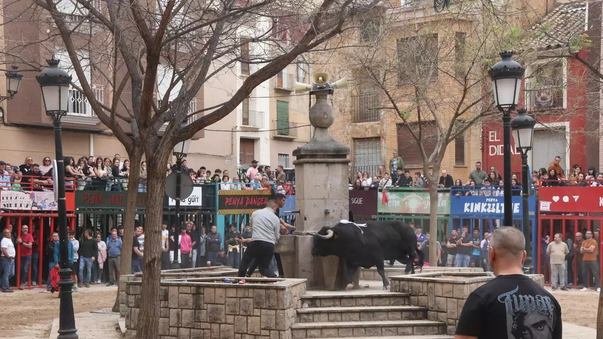 Castellón lidera los festejos taurinos en 2026 y crecen respecto al año anterior